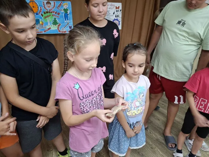 IMG_20241012_164723_187