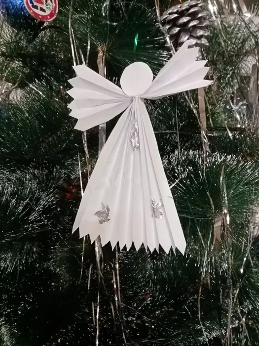 IMG_20250114_192719_463