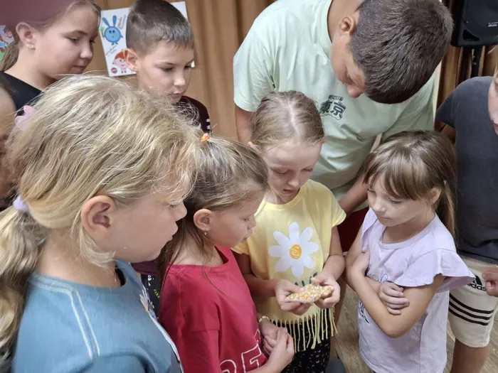 IMG_20241012_164723_309