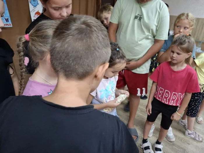 IMG_20241012_164730_064