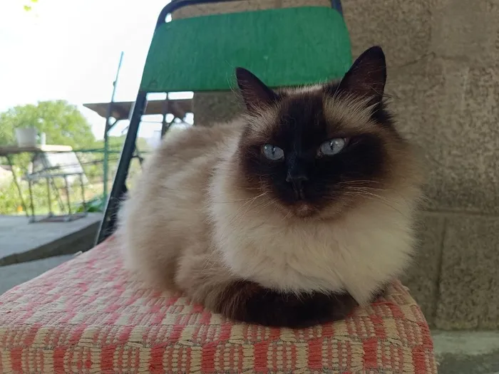 photo_2025-07-21_17-00-53